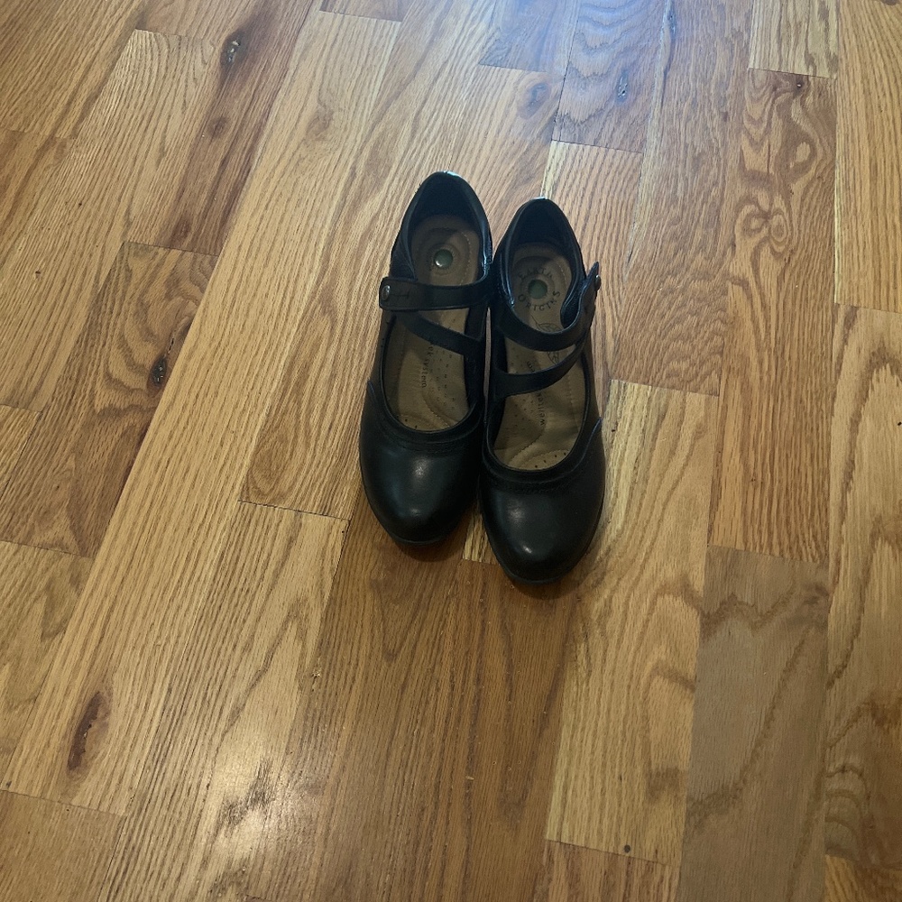 earth origins clara casey